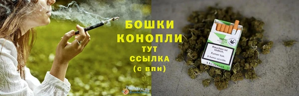 тгк Майский