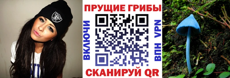 Псилоцибиновые грибы Psilocybe  Новое Девяткино 