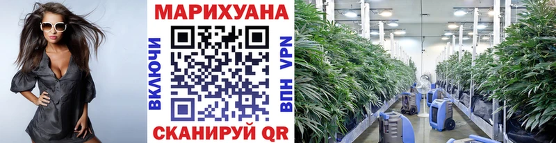 Конопля ГИДРОПОН Новое Девяткино